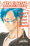 Bleach Can t Fear Your Own World - Vol 1