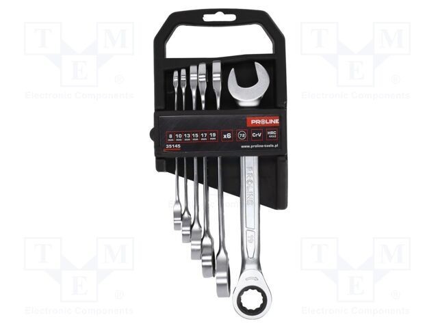 Set 6 chei combinate cu piedică PROLINE oțel crom-vanadium 8-19 mm