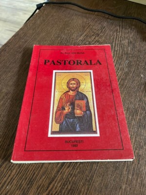 Ion Buga - Pastorala foto