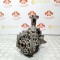 Grup Diferential Fata / Cutie Transfer Volvo S60 S90 XC60 XC90 2.0D 2019-2025