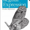 Regular Expression Pocket Reference: Regular Expressions for Perl, Ruby, Php, Python, C, Java and .Net, Paperback/Tony Stubblebine