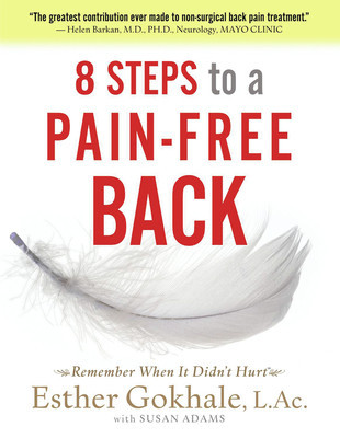 8 Steps to a Pain-Free Back: Natural Posture Solutions for Pain in the Back, Neck, Shoulder, Hip, Knee, and Foot foto