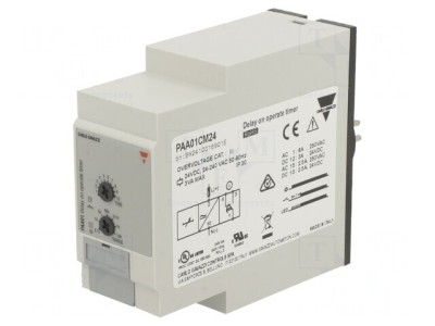 Timer Programabil SPDT 0,1s-100h 24-240VAC/IP20 foto