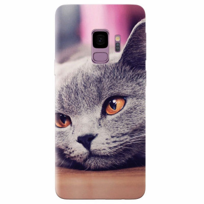 Husa silicon pentru Samsung S9, British Shorthair Cat Yellow Eyes Portrait foto