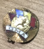 Insigna RPR GMA