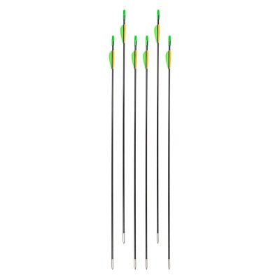 Sageti fibra de sticla inSPORTline Klarkson 30&amp;quot; - 6 buc. FitLine Training foto