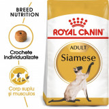 Cumpara ieftin Royal Canin Siamese Adult hrana uscata pisica