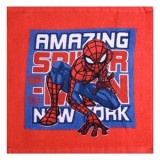 Prosopel din Bumbac Rozu cu Model Spiderman pentru Baieti 30x30cm, CMCLASS