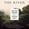 The Chimp and the River: How AIDS Emerged from an African Forest