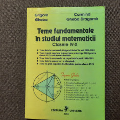 Grigore Gheba - Teme fundamentale in studiul matematicii. Clasele IV-X 2003