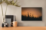 Tablou Canvas Umbrele &icirc;nserării &icirc;n pădurea tăcută, 39 x 26 cm, CMCLASS