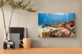 Tablou Canvas, "Dansul peștilor &icirc;n reciful de corali", Colorat, Vibrant, Recif, Coral, Pești, Albastru, Ocean, Lumină, Scufundare, Aventura, 39 x 26 c