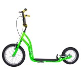 Trotineta inSPORTline Suter SE Verde FitLine Training