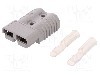 Conector alimentare DC, 0,6kV, 2 pini, seria SB&reg; 175, {{Dimensiune pin}}. ANDERSON POWER PRODUCTS - 6325G1