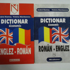 DICTIONAR economic ENGLEZ-ROMAN / DICTIONAR economic ROMAN-ENGLEZ - ANDREI BANTAS; VIOLETA NASTASESCU