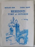 MEHEDINTI , TIMP SI ISTORIE de NICOLAE IEVA si OVIDIU VISAN , 1994, PREZINTA URME DE UZURA SI DE INDOIRE