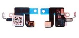 Banda WiFi iPhone 7 - Flex Wireless Reparatie Semnal