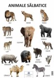 Plansa Animale salbatice - Editura DPH