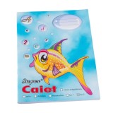 Caiet A5 SUPER tip II, 48 file, 80g, colectia Pestisor