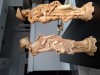 Statuiete rasina asiatice