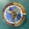 Insigna Scoala de ofiteri naviganti - Aurel Vlaicu RSR varianta medalion