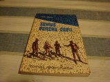 Ion Matei - Schiul pentru copii - metodic invatarii - 1977