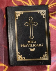 Mica pravilioara 2002 foto