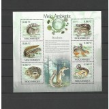 MOZAMBIC 2010 FAUNA ANIMALE SALBATICE VEVERITE