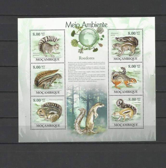 MOZAMBIC 2010 FAUNA ANIMALE SALBATICE VEVERITE