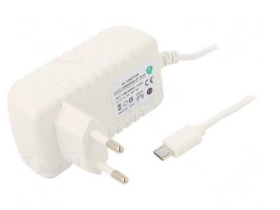 Alimentator pulsatoriu 5VDC 2A 10W Plug-in foto