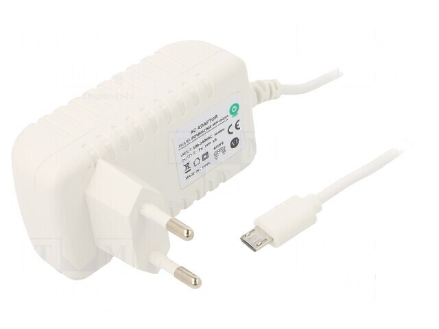 Alimentator pulsatoriu 5VDC 2A 10W Plug-in