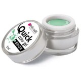 ENII Gel colorat LED/UV Quick Color - Light Green, 5ml, ENII NAILS