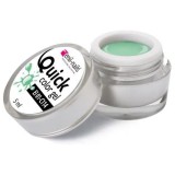 ENII Gel colorat LED/UV Quick Color - Light Green, 5ml