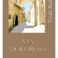 Via Dolorosa - Vasile Burlui