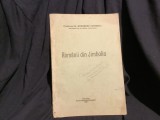 Romanii din Jimbolia de Gheorghe Cotosman anul 1942 / 24 pagini !