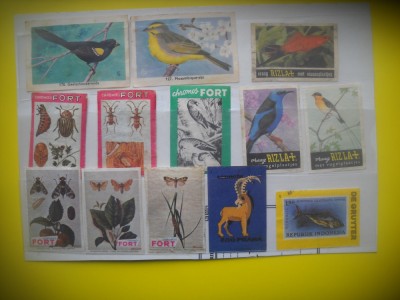 HOPCT LOT NR 23 FAUNA DE PRETUTINDENI -13 ETICHETE VECHI CHIBRITURI-FILUMENIE-OLANDA foto