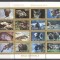 Ajman 1973 Animals perf. mini block used AE.390