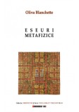 Eseuri metafizice | Oliva Blanchette, Eikon