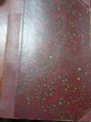 DRUMURI SI CETATI ROMANE IN BANAT TRAIAN SIMU foto