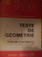 Teste De Geometrie Probleme De Matematica Vol.2 - Catalin-petru Nicolescu ,540052 foto