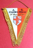 Fanion fotbal - AS CUOIO PELLI (Campionii Toscanei la Juniori `86 / `87 ITALIA)