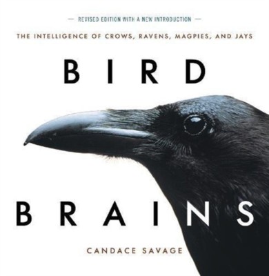 Bird Brains: The Intelligence of Crows, Ravens, Magpies, and Jays foto