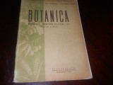 Botanica - manual cls. V a - scoli de la orase -E. Sanielevici, Al. Dabija,1961, Biologie, Clasa 5