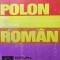 Mic dictionar Polon Roman - Vladimir Iliescu
