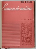 LUMEA DE MAINE de ION BIBERI