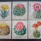 Germania DDR 1983 cactuși, flori de cătuctus, plante serie 6v Nestampilata