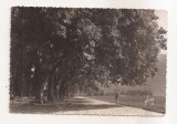 FA137 -Carte Postala- FRANTA - Annecy. Le bord du lac, necirculata
