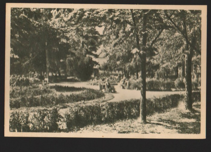 CPIB 15516 CARTE POSTALA - ORADEA. BAILE &quot;VICTORIA&quot;, VEDERE DIN PARC, RPR