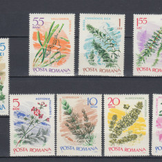 ROMANIA 1966 LP 634 PLANTE SUBACVATICE SERIE MNH