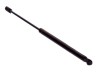 Amortizor capota spate, echilibror haion Toyota Corolla Verso (Zer/Zze), 06.2004-03.2009, Stanga = Dreapta, Lungime, Cursa, Forta: 531 mm, 173 mm, 54